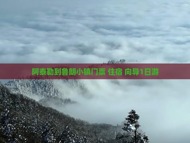 阿泰勒到鲁朗小镇门票+住宿+向导1日游