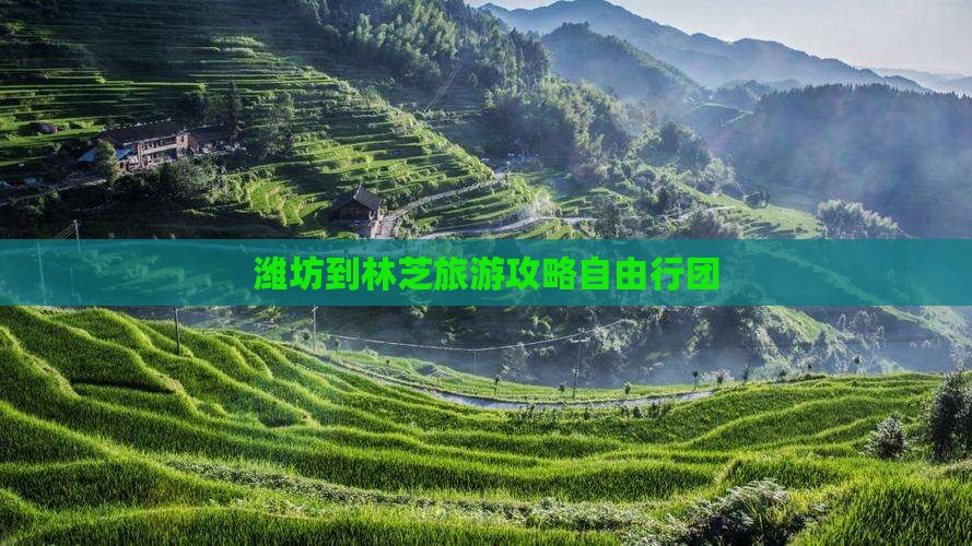 潍坊到林芝旅游攻略自由行团