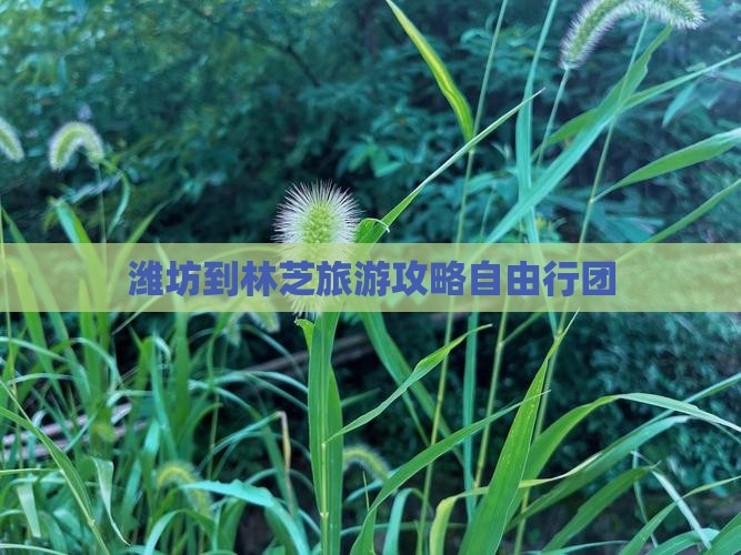 潍坊到林芝旅游攻略自由行团