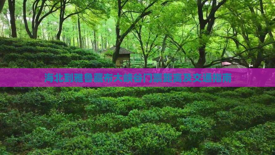海北到雅鲁藏布大峡谷门票距离及交通指南