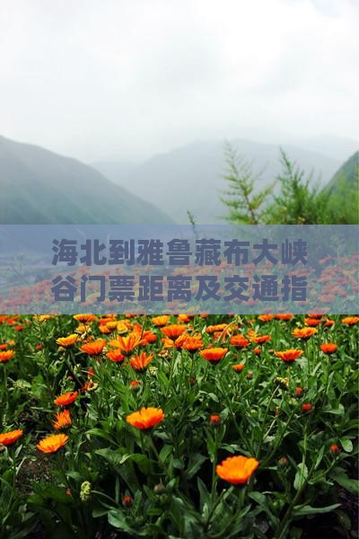 海北到雅鲁藏布大峡谷门票距离及交通指南