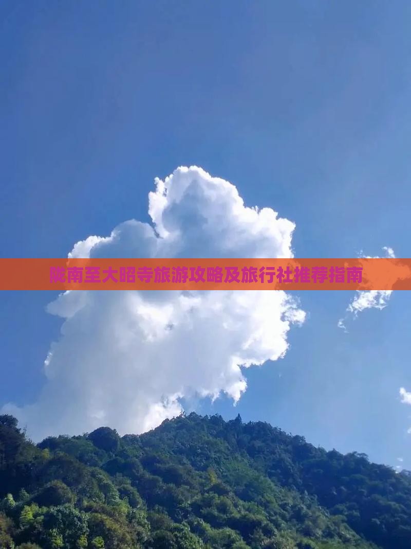 陇南至大昭寺旅游攻略及旅行社推荐指南