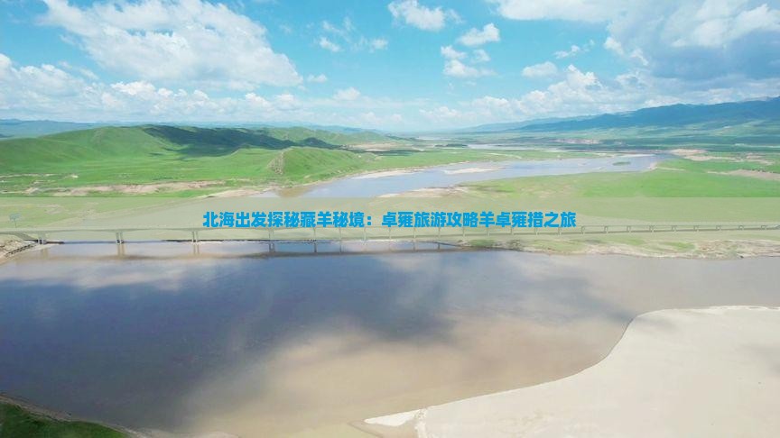 北海出发探秘藏羊秘境：卓雍旅游攻略羊卓雍措之旅