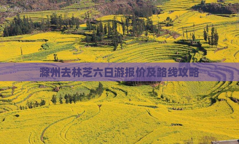滁州去林芝六日游报价及路线攻略