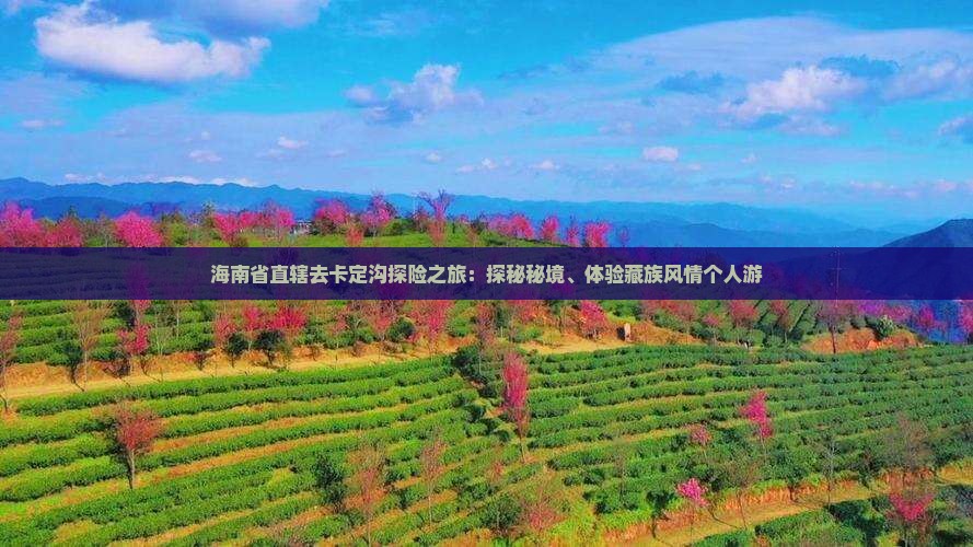 海南省直辖去卡定沟探险之旅：探秘秘境、体验藏族风情个人游
