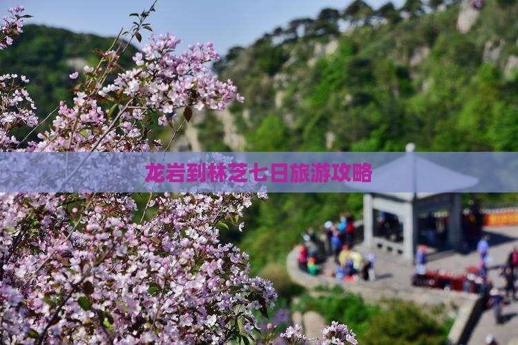 龙岩到林芝七日旅游攻略