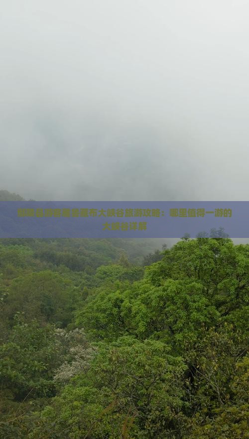 鄢陵县游客雅鲁藏布大峡谷旅游攻略：哪里值得一游的大峡谷详解