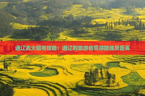 通辽去大昭寺攻略：通辽到旅游自驾游路线及距离
