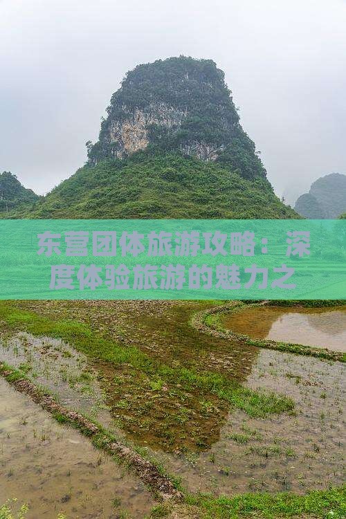 东营团体旅游攻略：深度体验旅游的魅力之旅