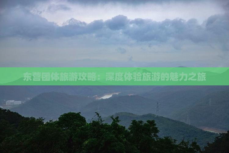 东营团体旅游攻略：深度体验旅游的魅力之旅