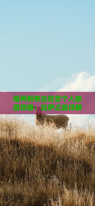 福州到布达拉宫个人旅游攻略：拉萨之旅详解