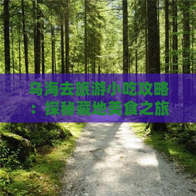 乌海去旅游小吃攻略：探秘藏地美食之旅