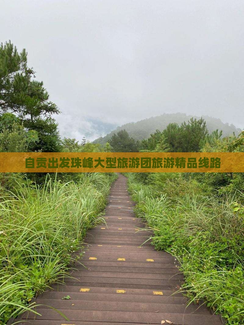 自贡出发珠峰大型旅游团旅游精品线路