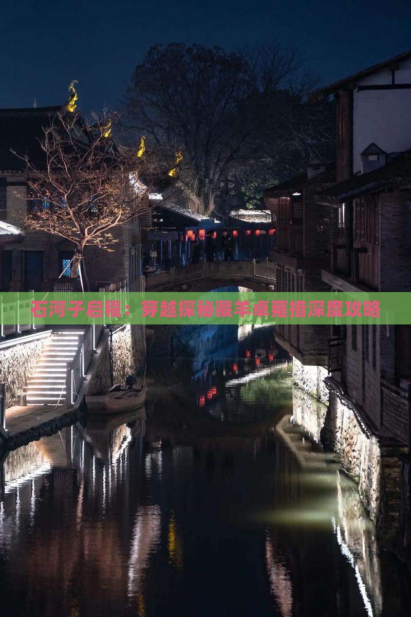 石河子启程：穿越探秘藏羊卓雍措深度攻略