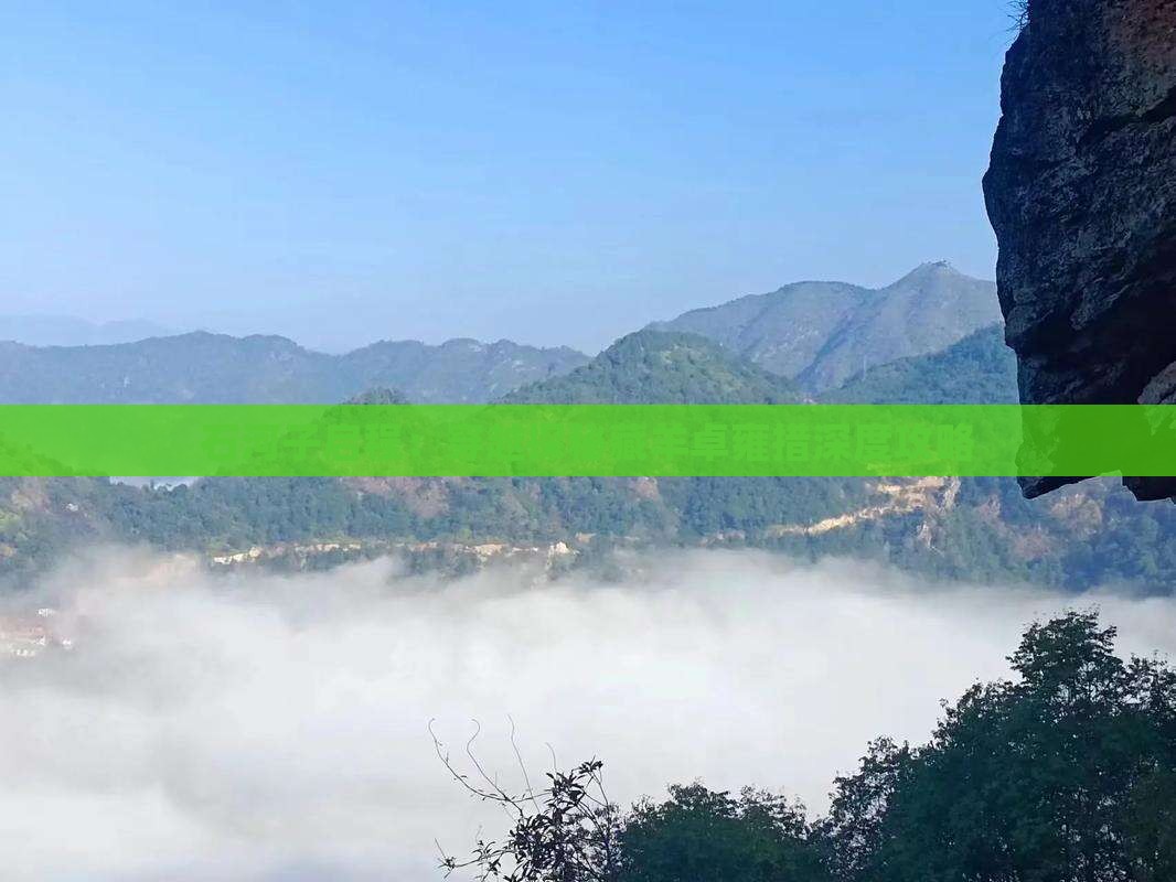 石河子启程：穿越探秘藏羊卓雍措深度攻略