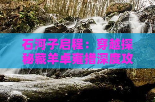 石河子启程：穿越探秘藏羊卓雍措深度攻略