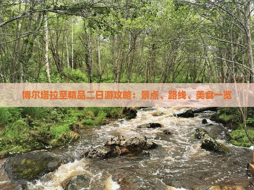 博尔塔拉至精品二日游攻略：景点、路线、美食一览