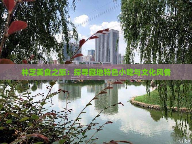 林芝美食之旅：探寻藏地特色小吃与文化风情