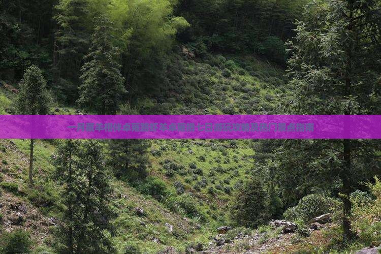 一月藏羊相伴卓雍路虾羊卓雍措七日游玩攻略及热门景点指南