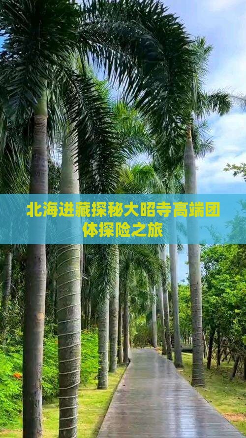 北海进藏探秘大昭寺高端团体探险之旅