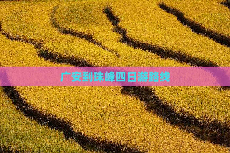 广安到珠峰四日游路线