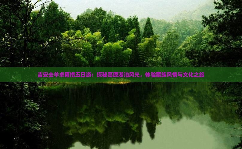 吉安去羊卓雍措五日游：探秘高原湖泊风光，体验藏族风情与文化之旅