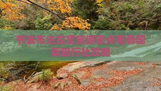 节去布达拉宫旅游景点看看国际旅行社攻略