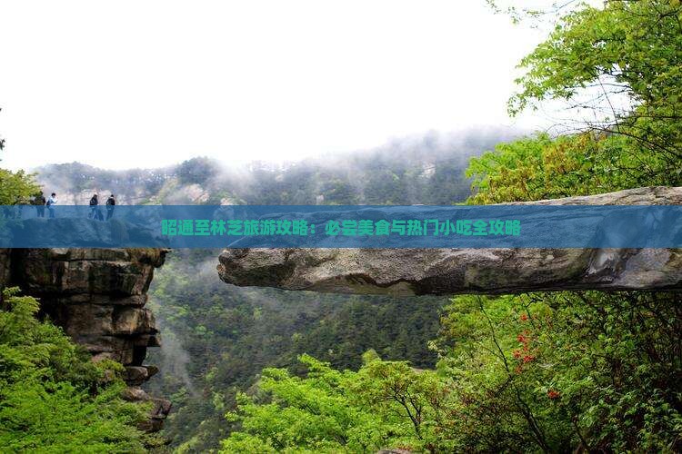 昭通至林芝旅游攻略：必尝美食与热门小吃全攻略