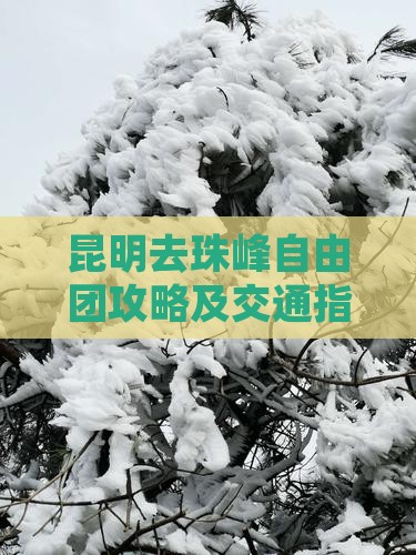 昆明去珠峰自由团攻略及交通指南