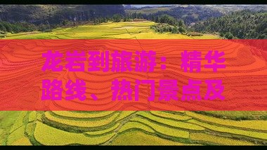 龙岩到旅游：精华路线、热门景点及跟团攻略