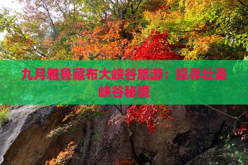 九月雅鲁藏布大峡谷旅游：探寻壮美峡谷秘境
