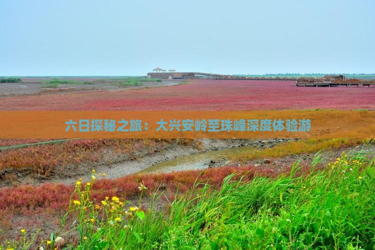 六日探秘之旅：大兴安岭至珠峰深度体验游