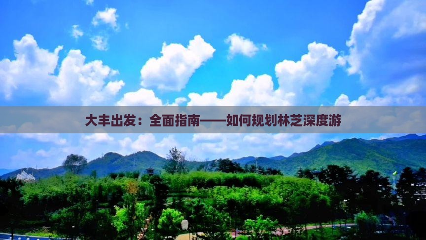 大丰出发：全面指南——如何规划林芝深度游