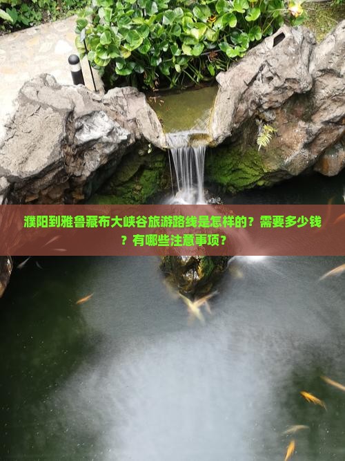 濮阳到雅鲁藏布大峡谷旅游路线是怎样的？需要多少钱？有哪些注意事项？