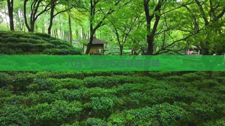 八月卡定沟五日旅游攻略