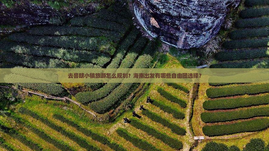 去鲁朗小镇旅游怎么规划？海南出发有哪些自由团选择？
