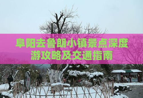 阜阳去鲁朗小镇景点深度游攻略及交通指南