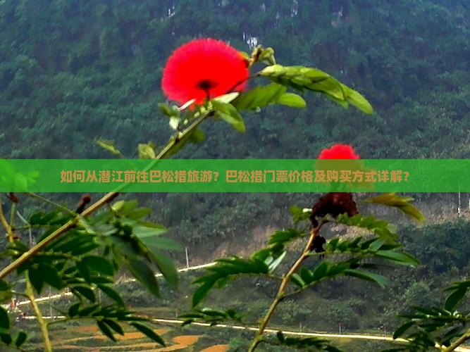 如何从潜江前往巴松措旅游？巴松措门票价格及购买方式详解？