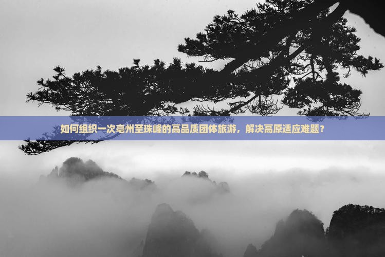 如何组织一次亳州至珠峰的高品质团体旅游,解决高原适应难题? 如何组织一次亳州至珠峰的高品质团体旅游,解决高原适应难题?