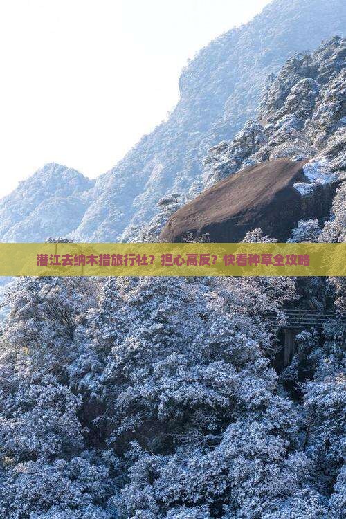 潜江去纳木措旅行社？担心高反？快看种草全攻略