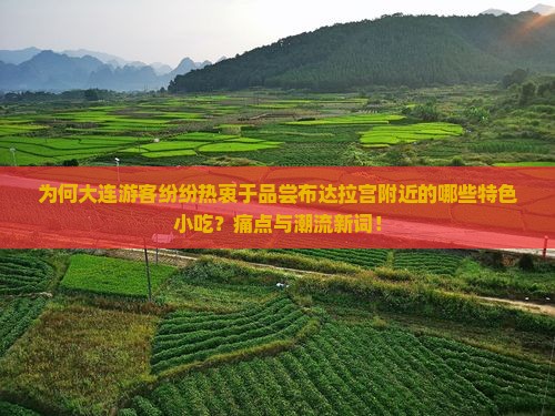 为何大连游客纷纷热衷于品尝布达拉宫附近的哪些特色小吃？痛点与潮流新词！
