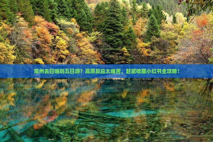 常州去日喀则五日游？高原反应太痛苦，赶紧收藏小红书全攻略！