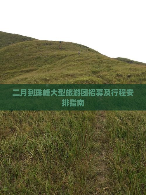 二月到珠峰大型旅游团招募及行程安排指南