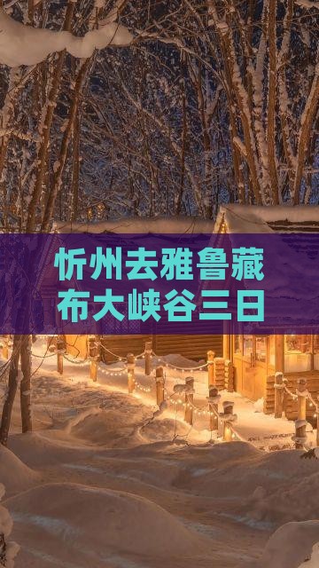 忻州去雅鲁藏布大峡谷三日游攻略及交通指南