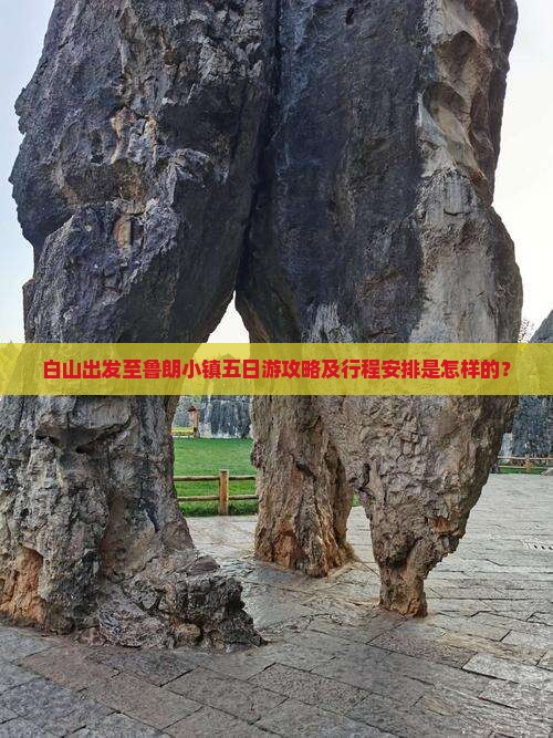 白山出发至鲁朗小镇五日游攻略及行程安排是怎样的？