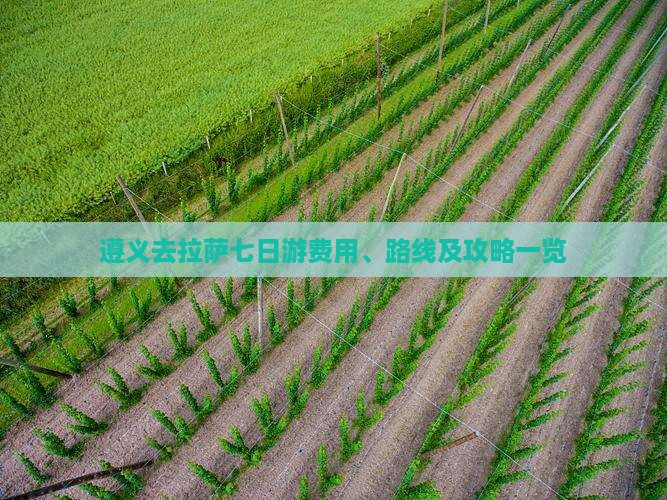 遵义去拉萨七日游费用、路线及攻略一览