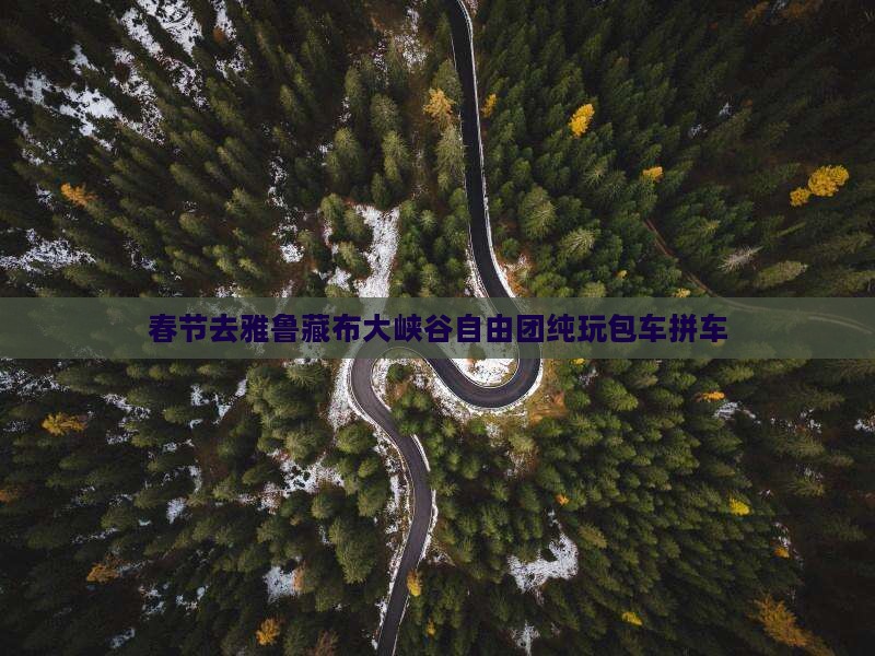 春节去雅鲁藏布大峡谷自由团纯玩包车拼车