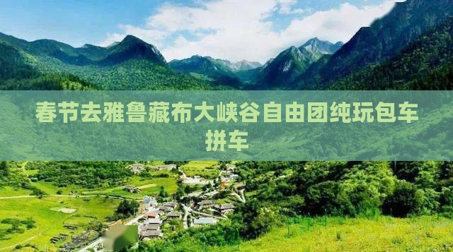 春节去雅鲁藏布大峡谷自由团纯玩包车拼车