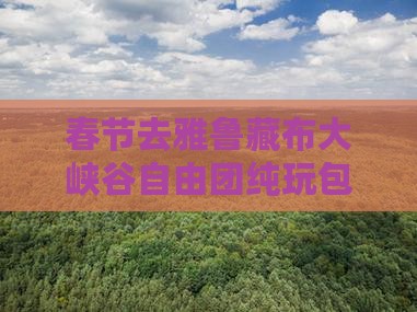 春节去雅鲁藏布大峡谷自由团纯玩包车拼车