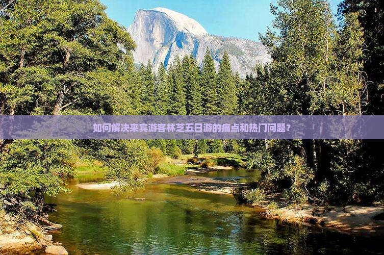 如何解决来宾游客林芝五日游的痛点和热门问题？